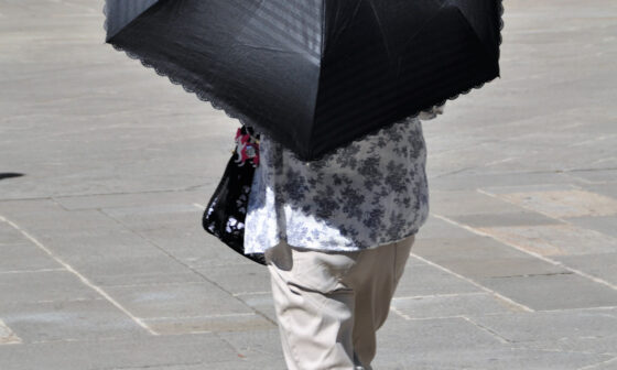 featured image - Reasons To Invest in Expensive Windproof Umbrella