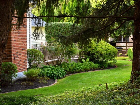 featured image - Taking Your Landscaping to the Next Level 3 Backyard Options to Consider