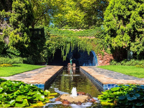 featured image - Unexpected Water Features for the Garden