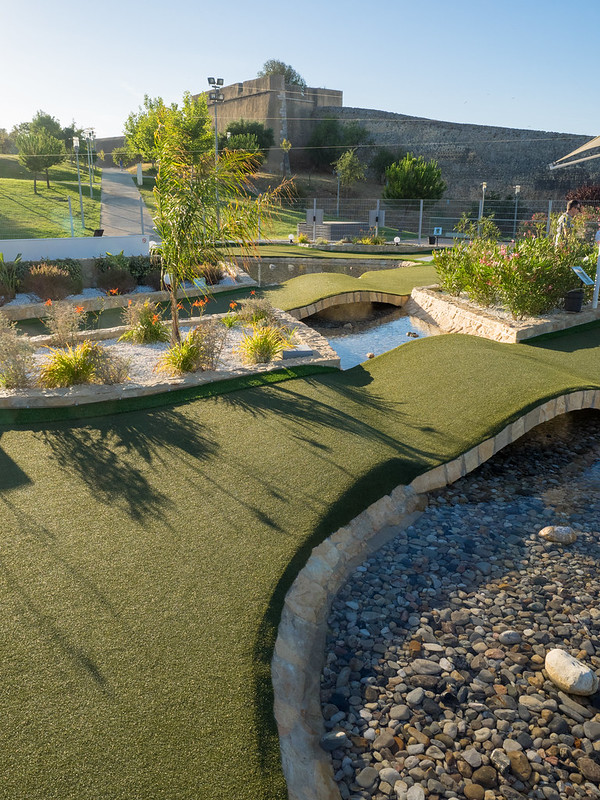 featured image - What to Know About Hiring a Landscaping Professional