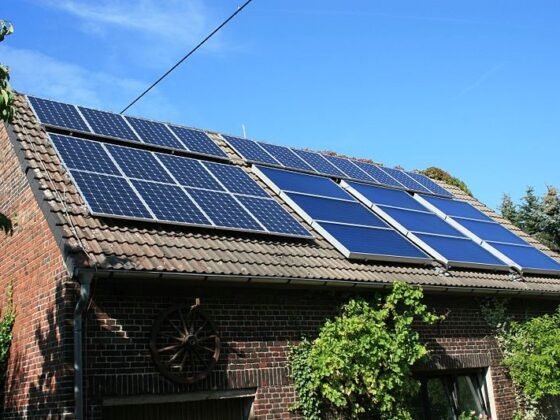 featured image - 5 Effective Ways to Reduce your Carbon Footprint