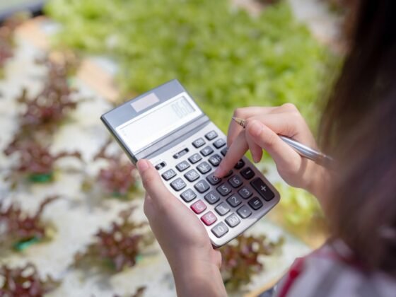 featured image - How Much Should I Budget for Landscaping?