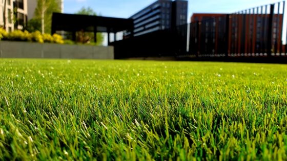 featured image - How an Artificial Grass Could Change Your Life