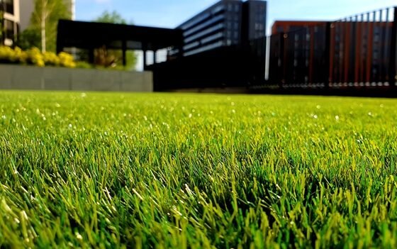 featured image - How an Artificial Grass Could Change Your Life