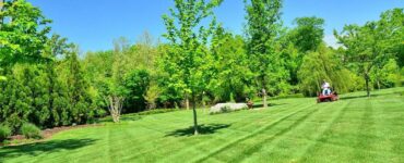 featured image - How to Bid Your Next Commercial Lawn Care Contract