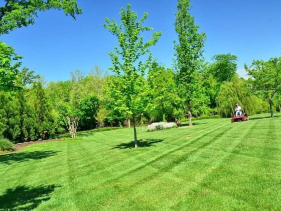 featured image - How to Bid Your Next Commercial Lawn Care Contract