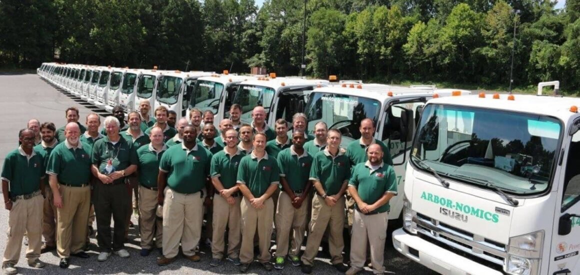 featured image - How to Get Rid of Snow Mold