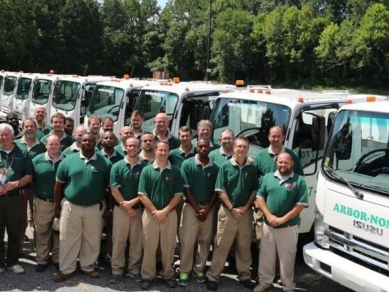 featured image - How to Get Rid of Snow Mold