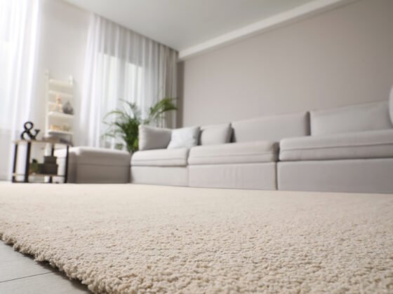 featured image - How to Unflatten Carpet