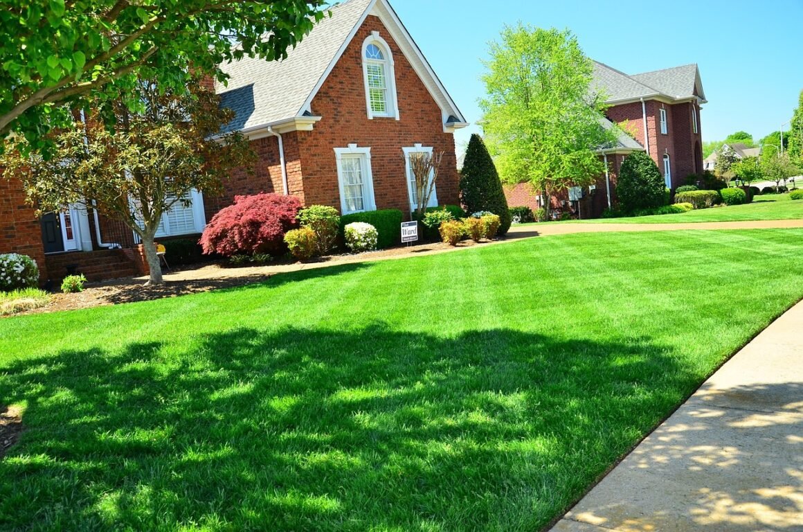 featured image - Lawn Care Dos and Don'ts for Beginners