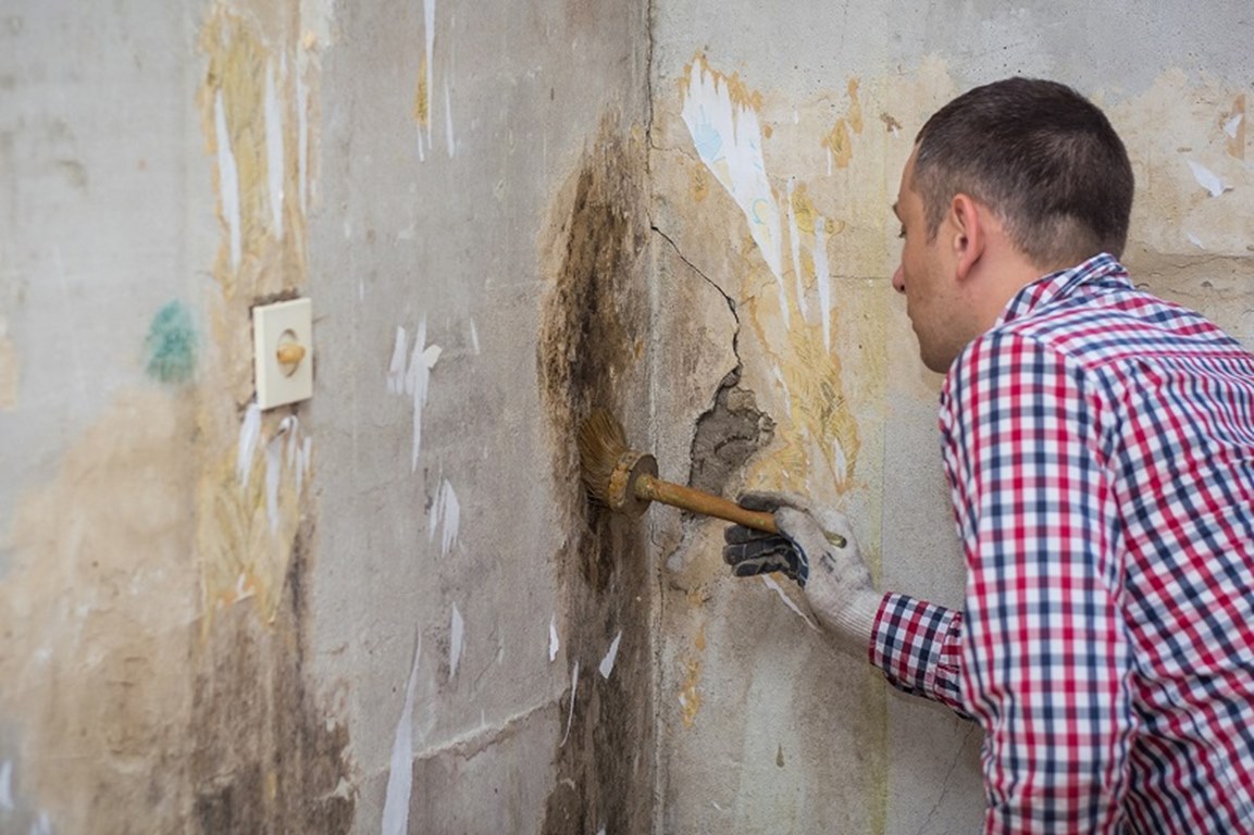 image - Ways to Prevent or Remove Mold
