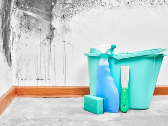 featured image - What to Consider when Hiring Mold Removal Experts