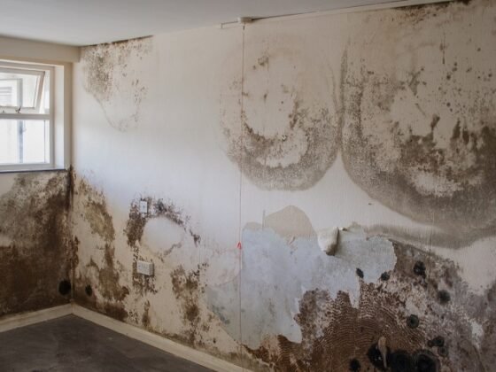 featured image - Do I Need to Damp Proof My Property?