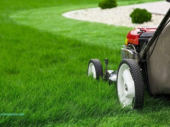 featured image - 10 ways to Take Care of Your Lawn the Right Way!