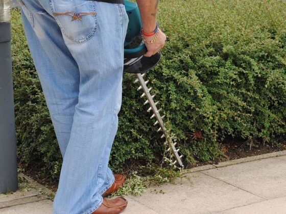 featured image - 5 Features That Will Cause You to Love Your Hedge Trimmer
