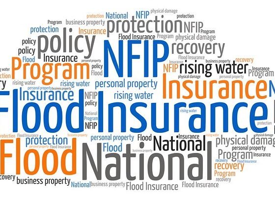featured image - 5 Tips for Finding the Best Quote for Flood Insurance