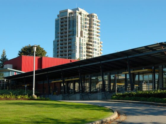 featured image - How Often Should Pest Control Be Done in Apartment