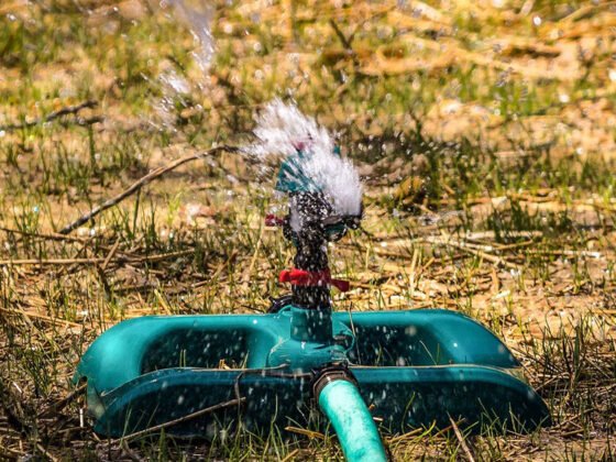 featured image - How to Choose the Best Irrigation System Repair Company?