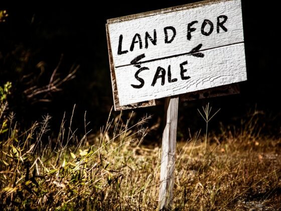 featured image - Is Now a Good Time to Sell Land