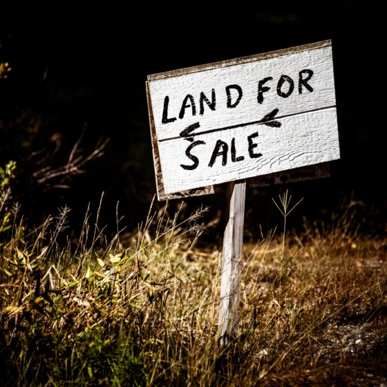featured image - Is Now a Good Time to Sell Land