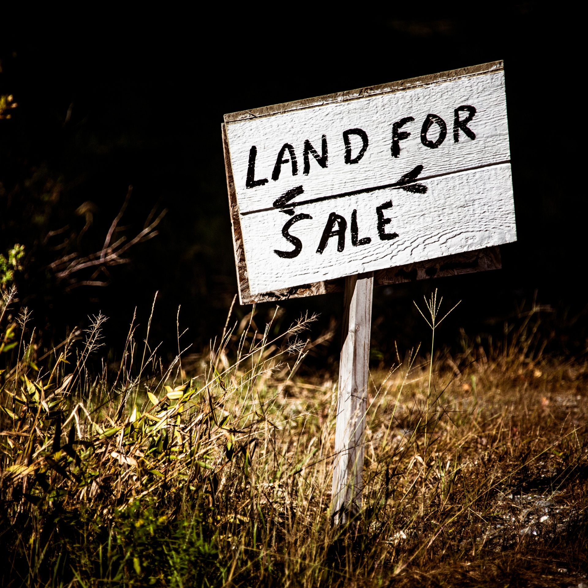 image - Is Now a Good Time to Sell Land