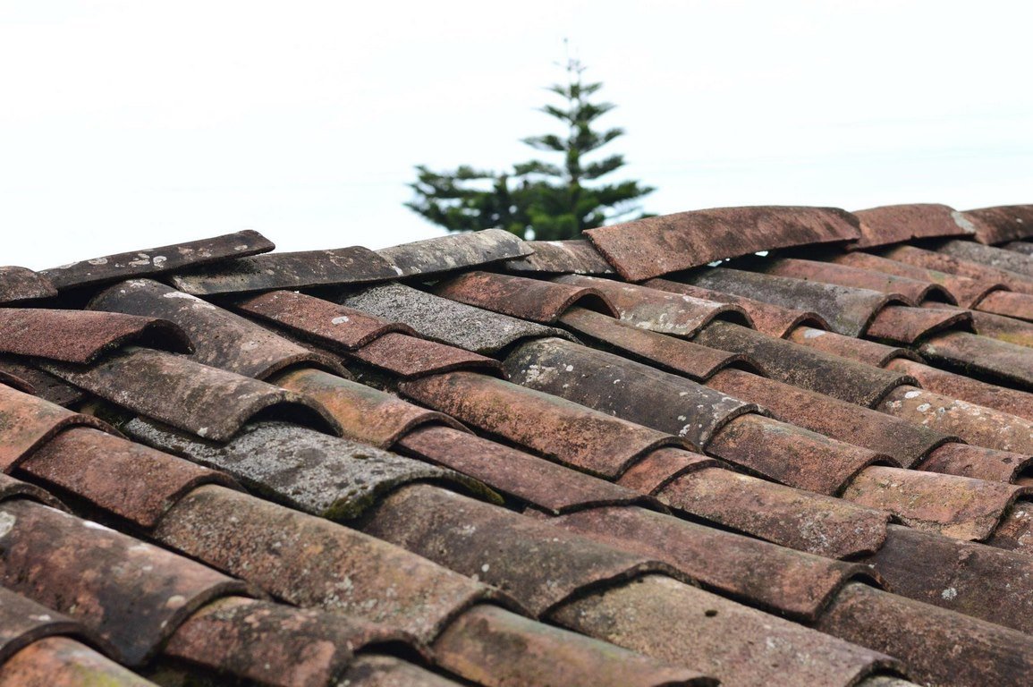 Is Roof Cleaning a Good Idea? image - Is Roof Cleaning a Good Idea?