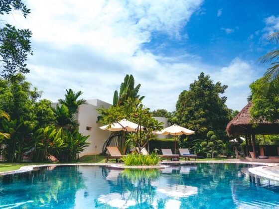 featured image - 5 Tips for Choosing the Right Pool Company