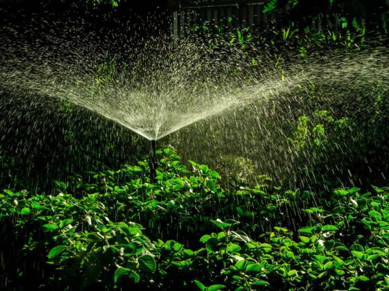 featured image - 5 Tips for Maintaining Your Sprinkler System