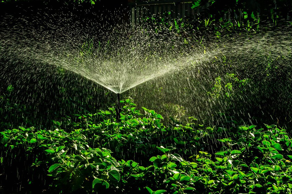 5 Tips for Maintaining Your Sprinkler System image - 5 Tips for Maintaining Your Sprinkler System