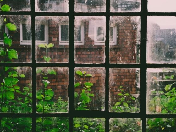 featured image - How To Save Money on Your Heating and Cooling Bill