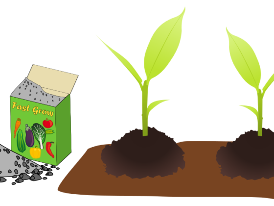 featured image - How to Choose the Best Garden Fertilizer for Vegetables