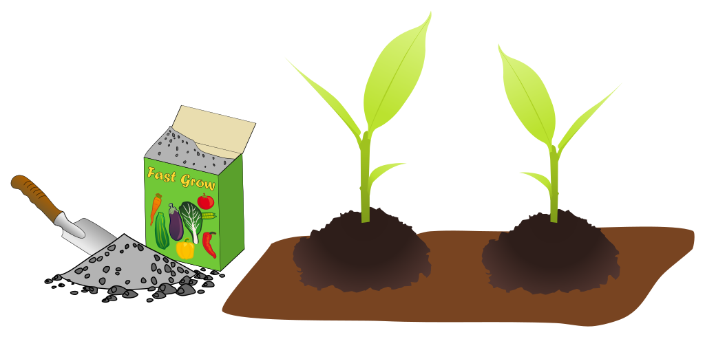 How to Choose the Best Garden Fertilizer for Vegetables image - How to Choose the Best Garden Fertilizer for Vegetables