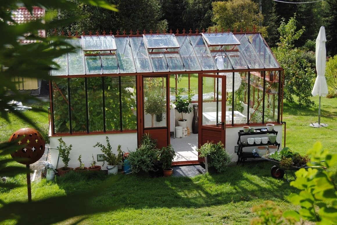featured image - This article will outline some key elements to explore when shopping for a greenhouse and will assist you in choosing the right greenhouse equipment for your vegetation and living.