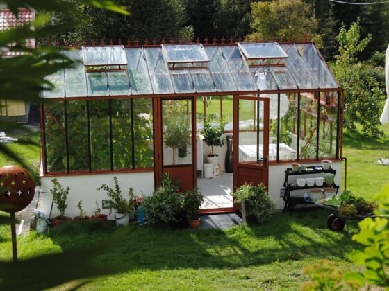 featured image - This article will outline some key elements to explore when shopping for a greenhouse and will assist you in choosing the right greenhouse equipment for your vegetation and living.