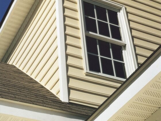featured image - What Makes Siding Such a Critical Part of Your Home