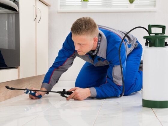 featured image - Why It's Best to Call a Pest Control Expert