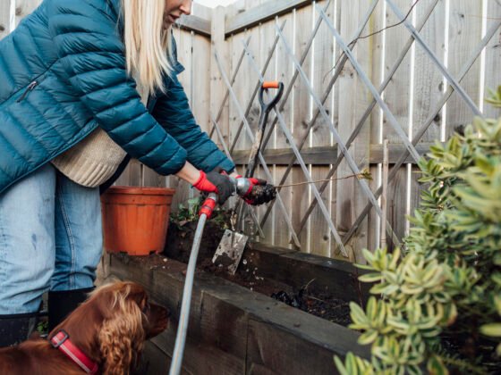 featured image - You Can Landscape in the Winter!