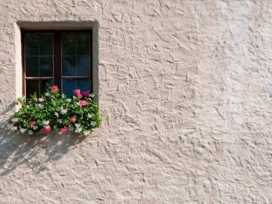 featured image - Is it a Risk to Buy a Stucco House?