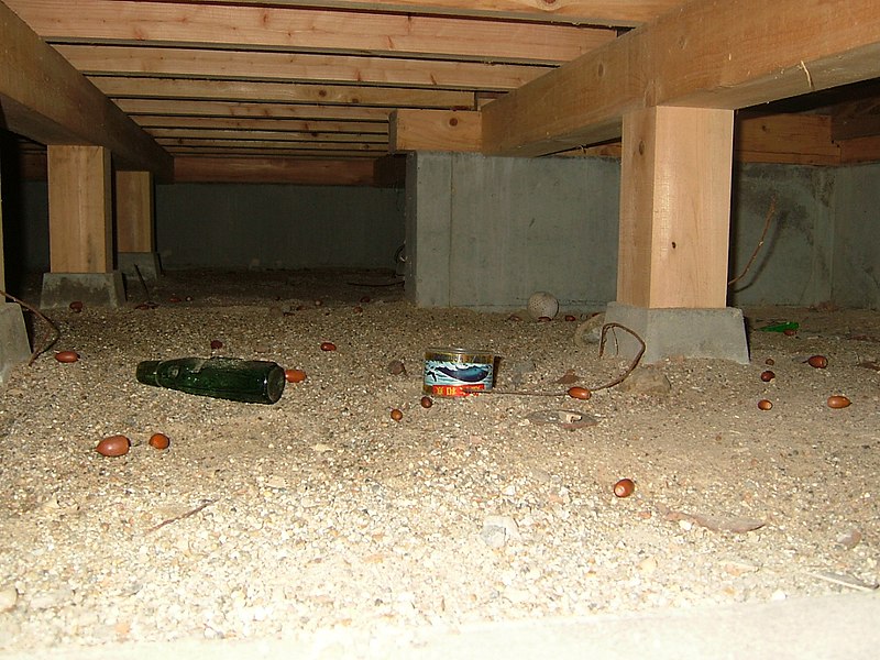 image - 5 Things You Need to Know About Crawl Spaces