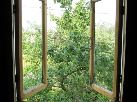 featured image - 7 Tips to Make Your House Cooler This Summer