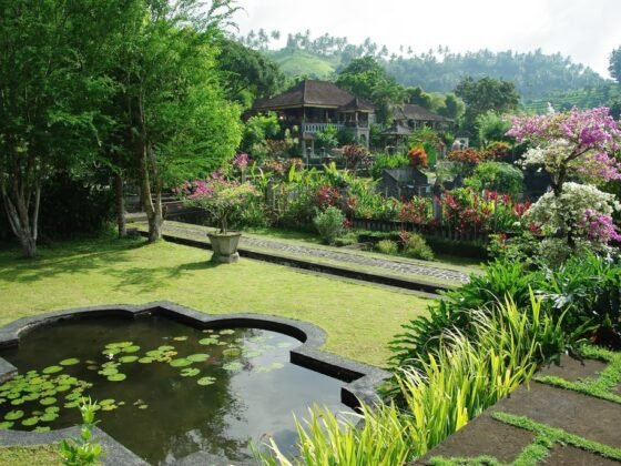 featured image - How To Choose a Landscape Designer or Landscaping Company and Save You Time & Money In 2022