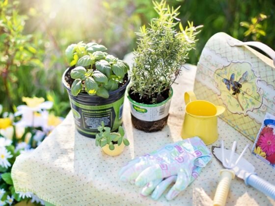 featured image - How to Get Your Garden Ready for the Summer