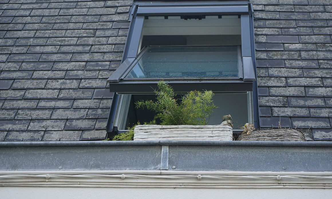 featured image - The Different Types of Windows Available for Installation
