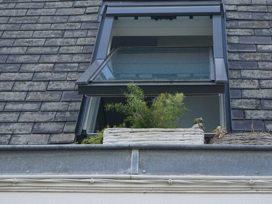 featured image - The Different Types of Windows Available for Installation