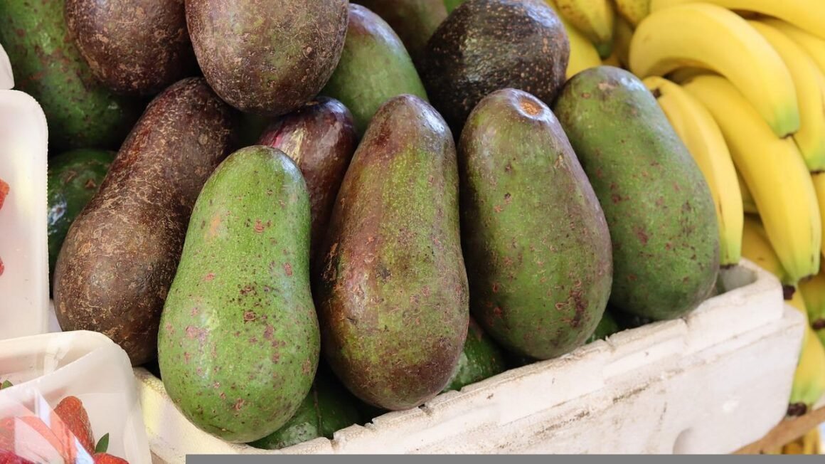 featured image - The Importance of Magnesium in the Body