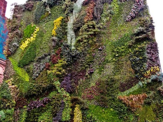 featured image - Vertical Gardens: A Comprehensive Introduction