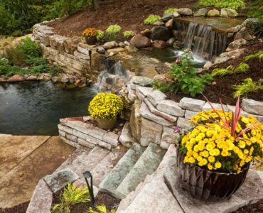 featured image - What is the Purpose of Landscape Design?