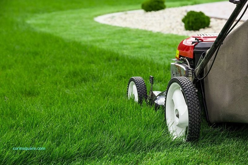 5 Reasons To Hire A Lawn Service