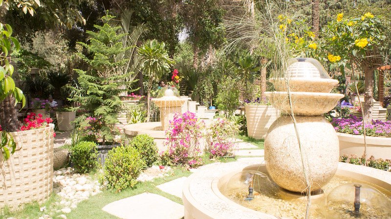 How Do I Choose the Best Landscaping Company in My Local Area image - How Do I Choose the Best Landscaping Company in My Local Area