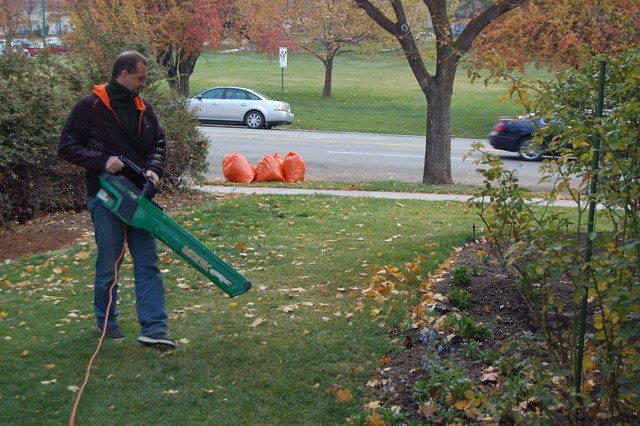 featured image - How Do You Determine a Good Leaf Blower